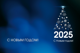 С НОВЫМ ГОДОМ 2025! С НОВЫМ ГОДОМ 2025!
